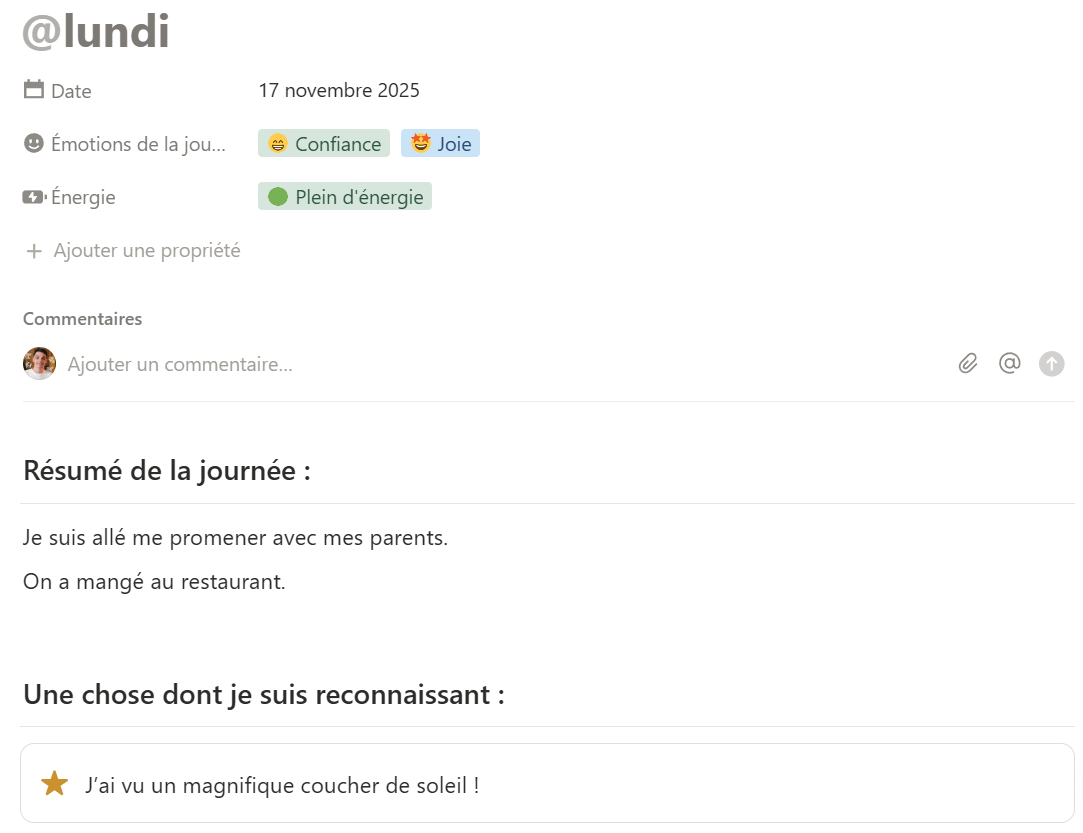 Page de journal quotidien détaillée