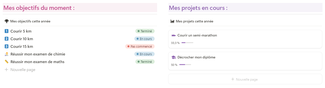 Objectifs et vision dans le Second Cerveau